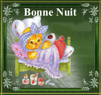 bonne nuit oiseau